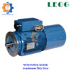 Asynchronous Pitch Motor Application Wind Power